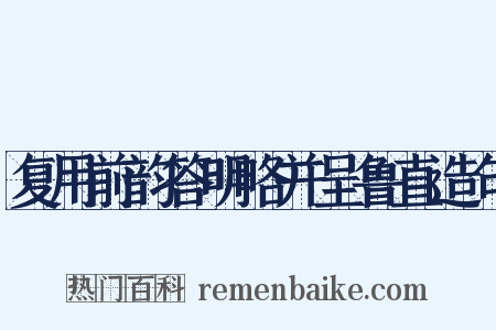 复用前韵答明略并呈鲁直造句是什么意思的图片